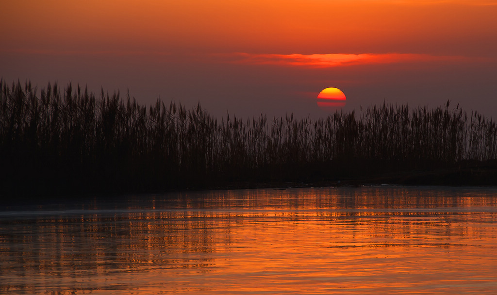 夕阳 摄影 乌龙