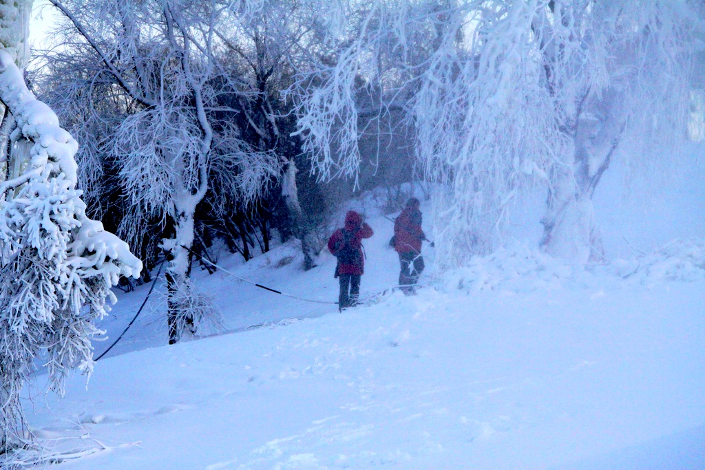 风雪路上 摄影 YuHoo