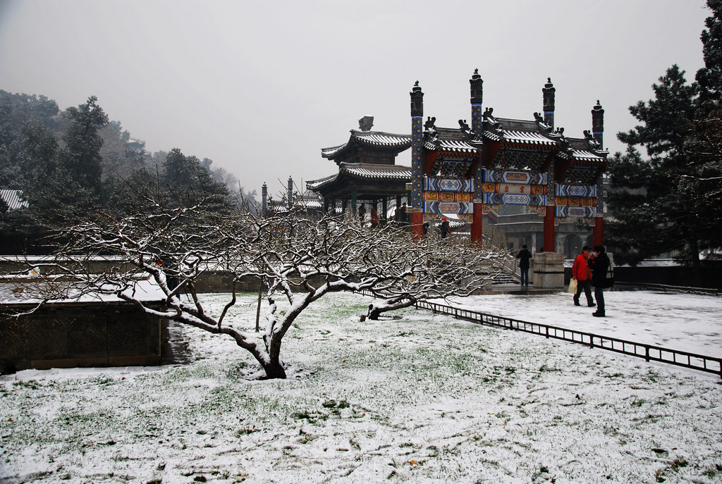 颐园初雪 摄影 中华情