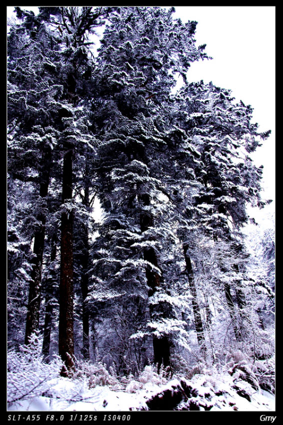 海螺沟   雪 摄影 木雅娃