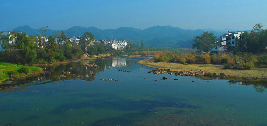 家住清水湾 摄影 老尼康