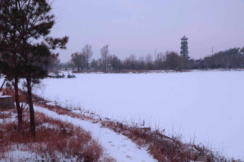 初雪寒晨 摄影 QJWWFR