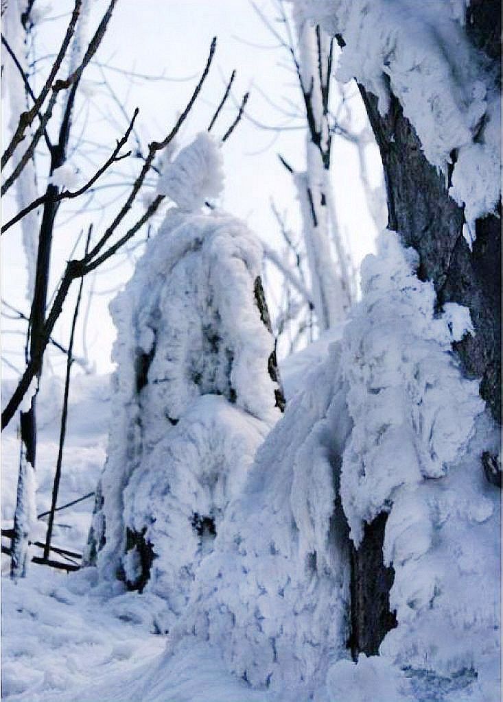 故乡冬韵3——冰雪雕塑 摄影 关河纤夫