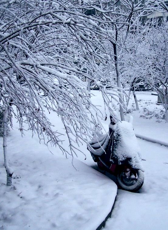 门前雪 摄影 红岩上