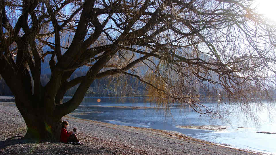 湖边小景 摄影 叶飘四季