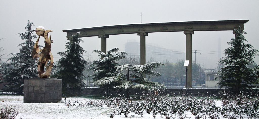 2011年第一场雪 摄影 老士兵