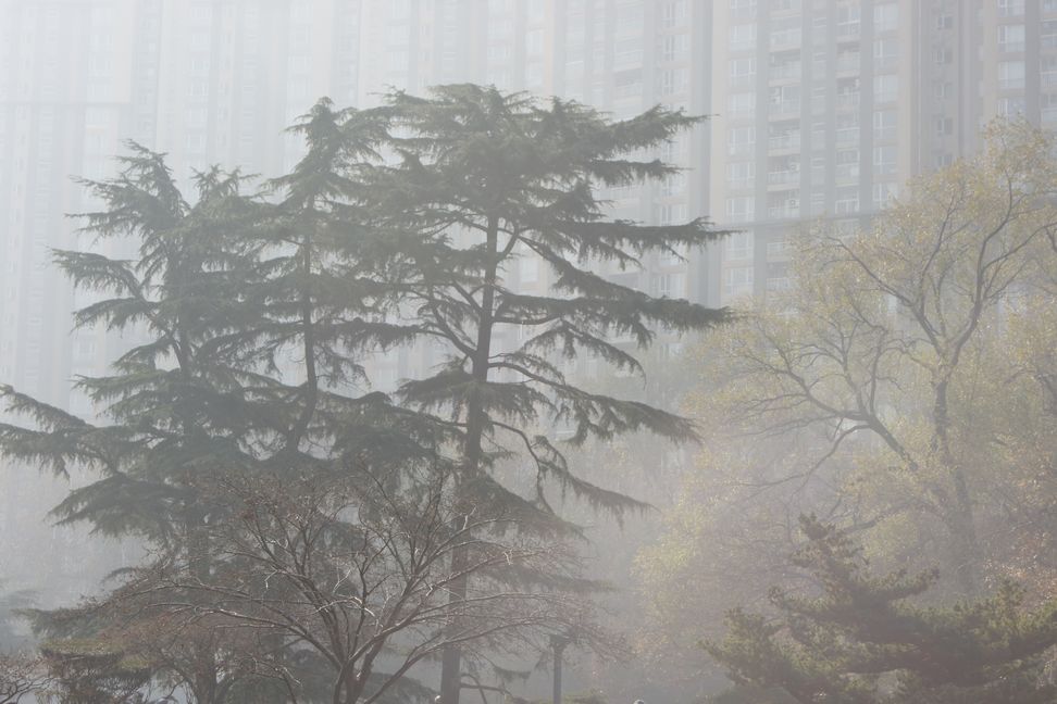 空气质量 一塌糊涂 摄影 老瞿