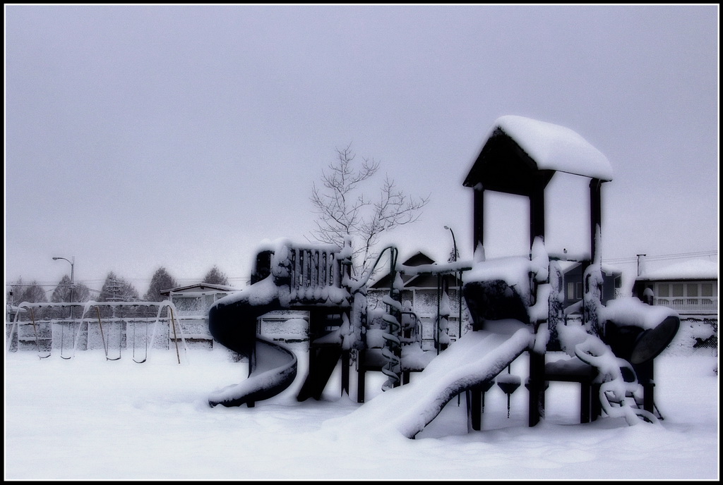 雪园 摄影 地球邨