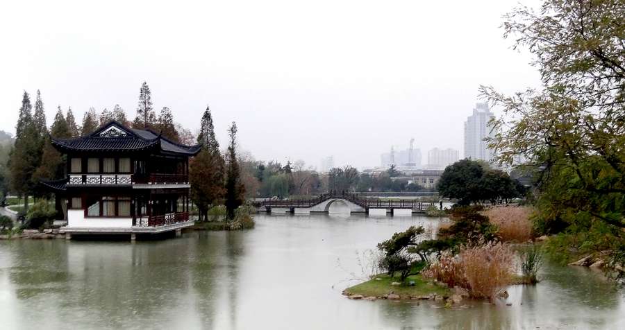 风雨送秋寒 摄影 山旭