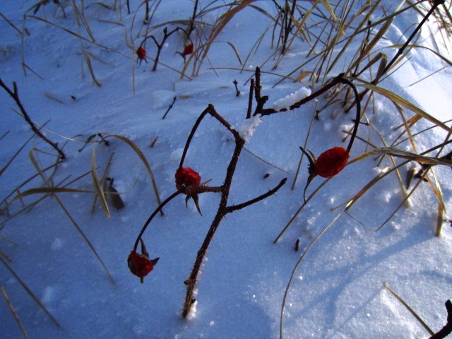 生命 摄影 山雨山风山雪