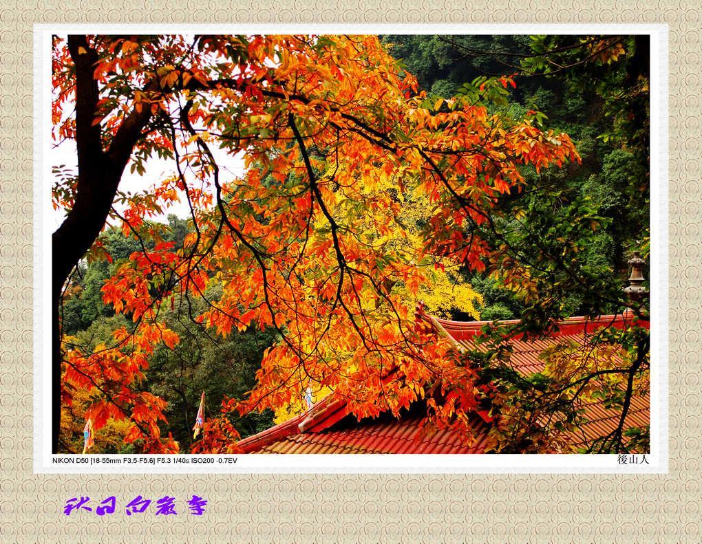 古寺秋日 摄影 竹林後山人