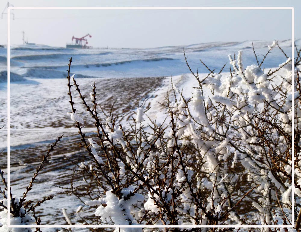 雪舞长庆油田 摄影 白丑