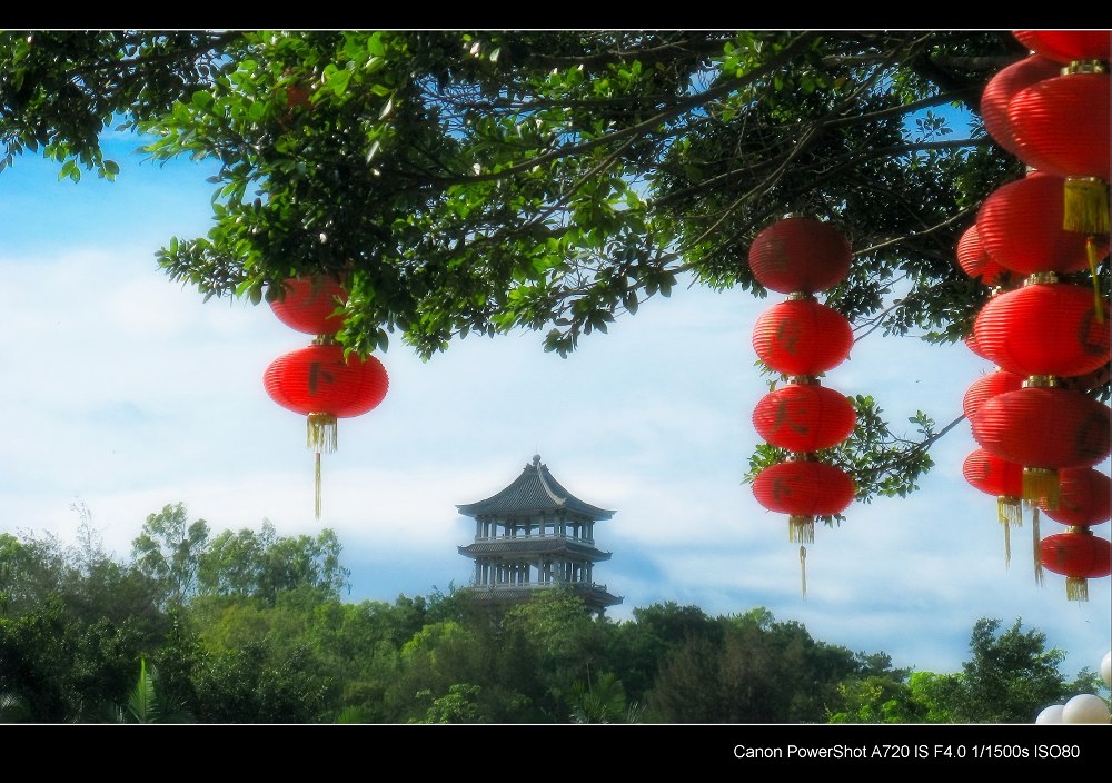 祝摄友大家新年快乐！ 摄影 第五只目