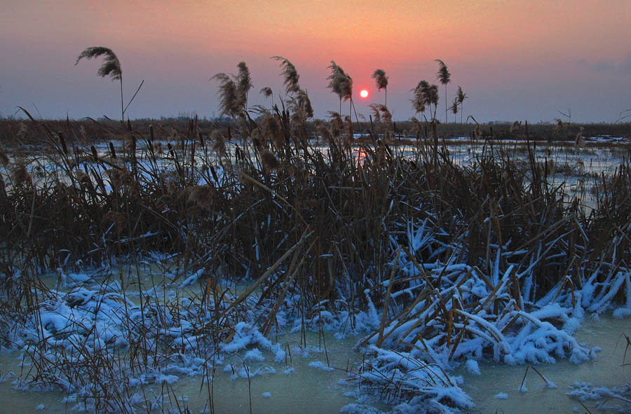 2011最后的夕阳 摄影 冷面摄手