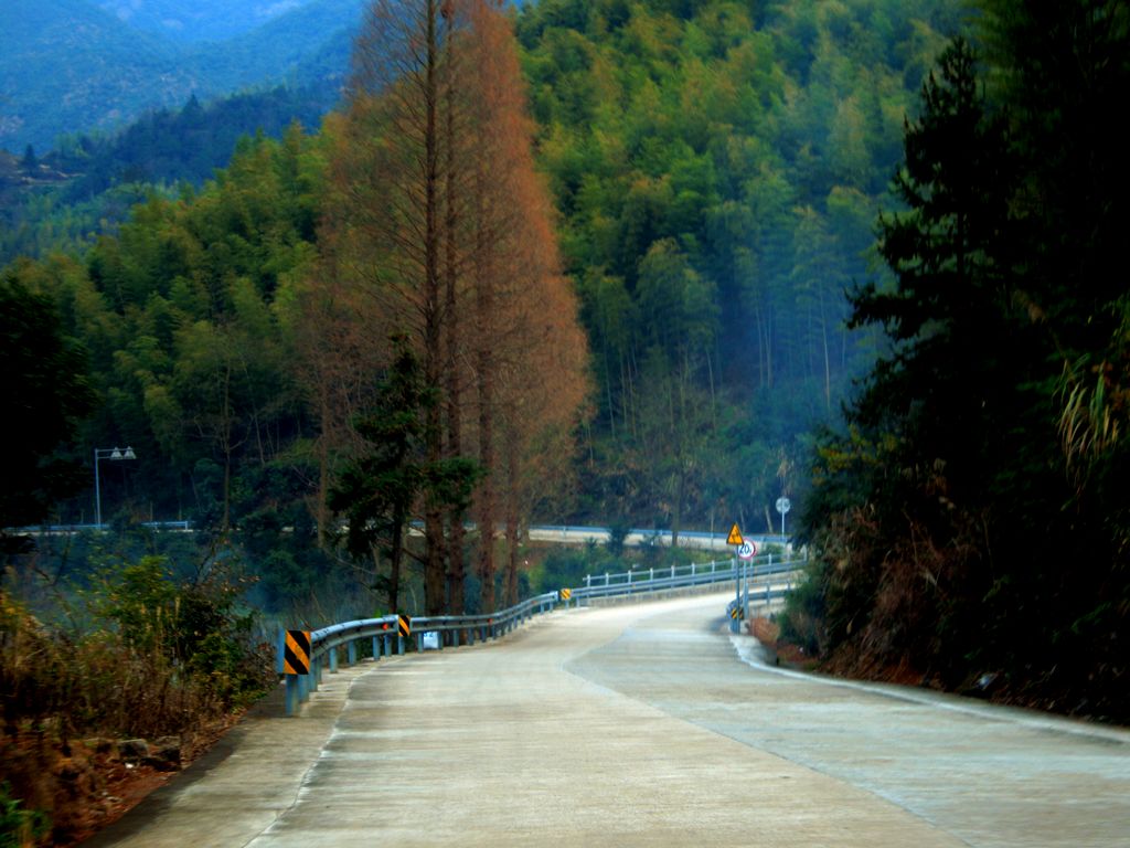 山路 摄影 炎狼咆哮