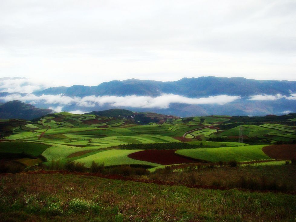 高原红土地系列 摄影 烟雨晓梦寒