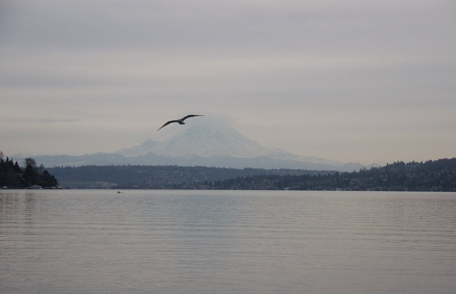 Lake Washington 摄影 seattle