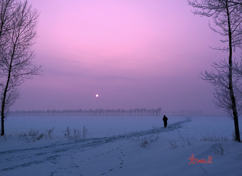 冰雪夕阳路 摄影 滈屾蓅渁