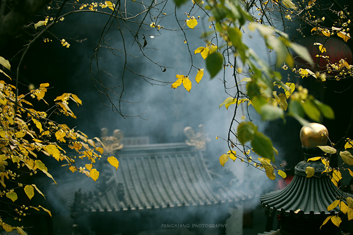 古寺 寒梅 摄影 风向.