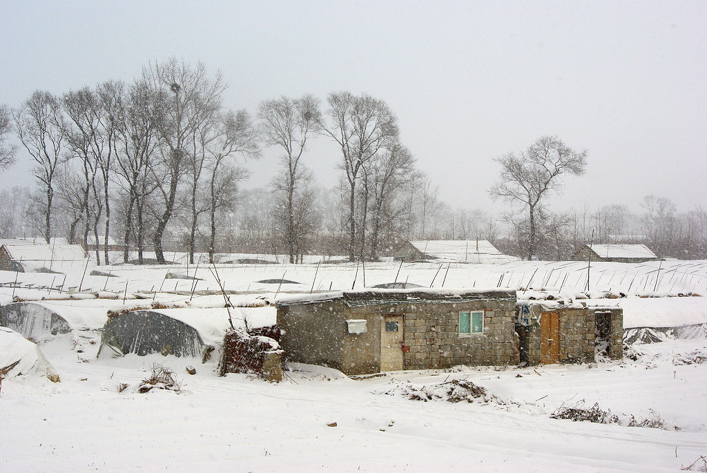 雪中-菜农的小屋 摄影 凤凰飞舞