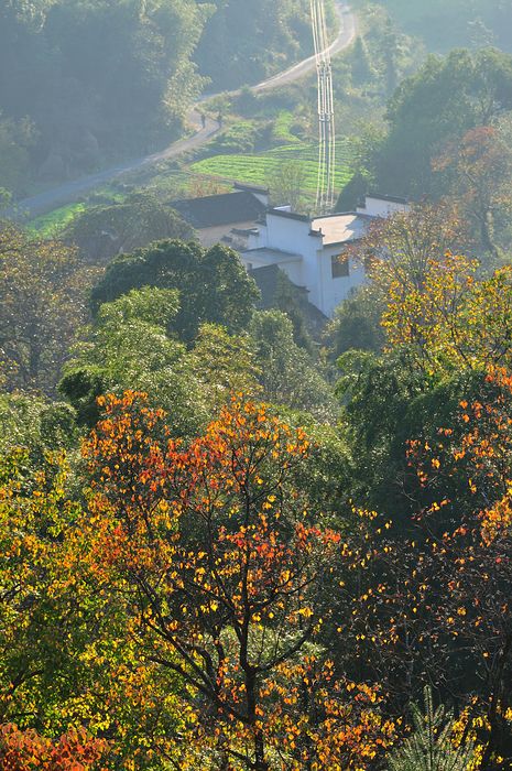 塔川秋色 摄影 花梨瑁