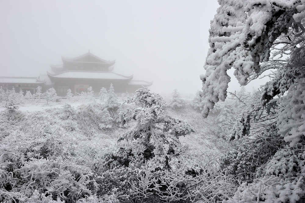 峨眉雪景系列【3】 摄影 胖胖牛哥