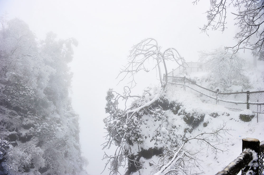 峨眉雪景系列【1】 摄影 胖胖牛哥