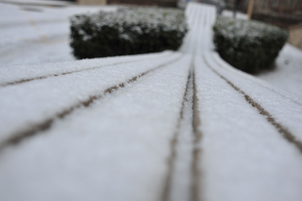 雪念 摄影 德琳的茶茶