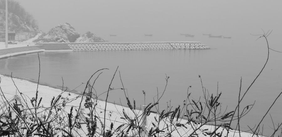 轻雪中的海湾 摄影 七云之