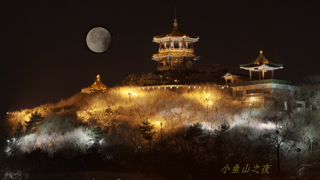 青岛之夜 摄影 青岛老人头