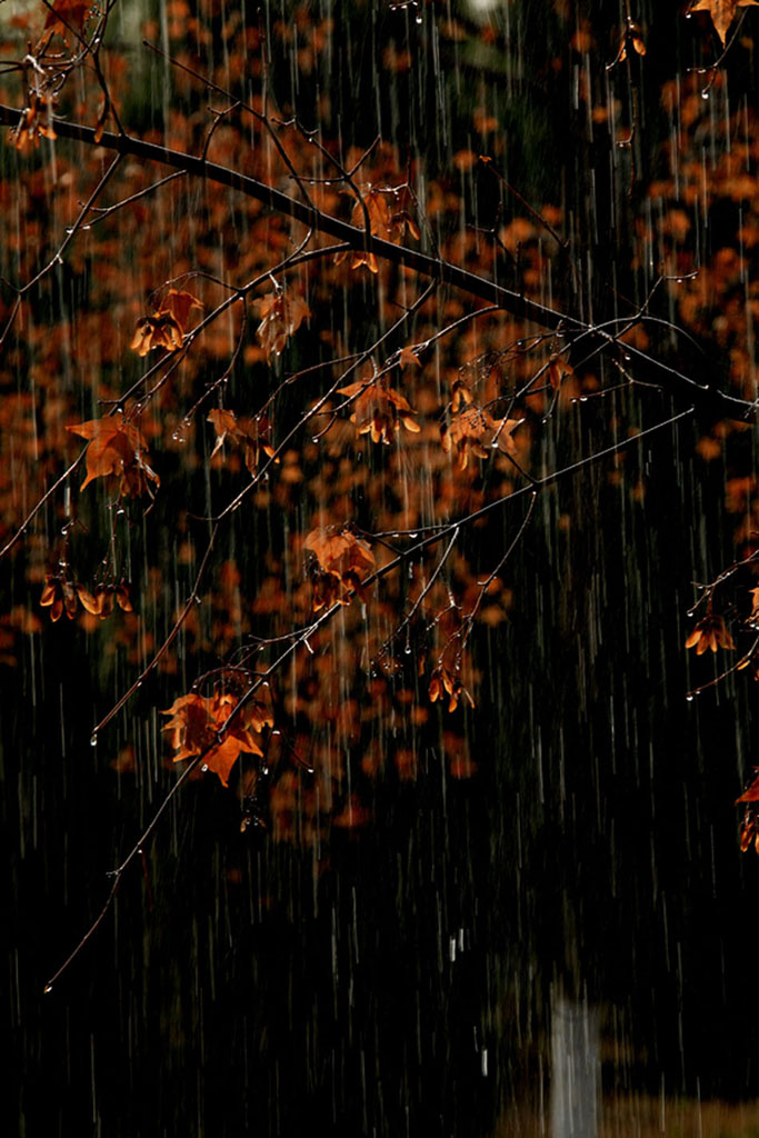 雨露 摄影 发现之旅88