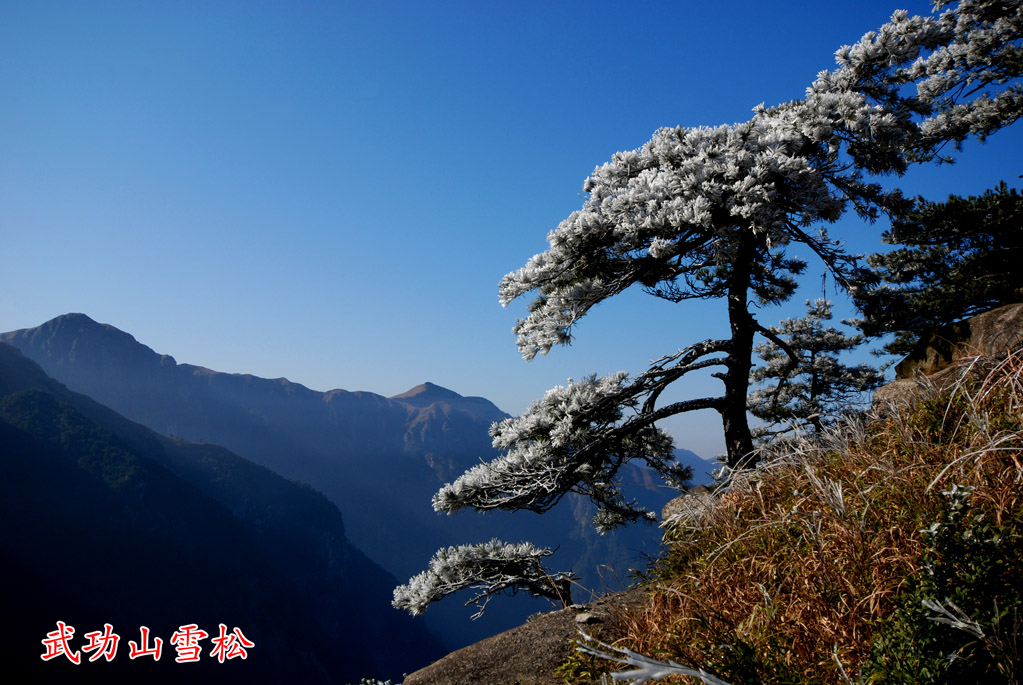 武功山冬景（1） 摄影 农夫20