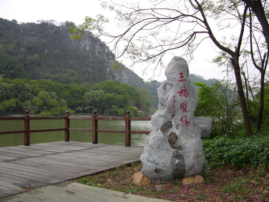 三榕览胜 摄影 山松