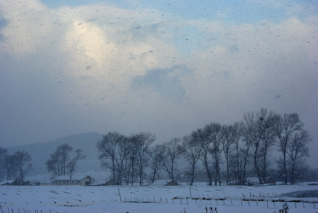 雪 摄影 凤凰飞舞