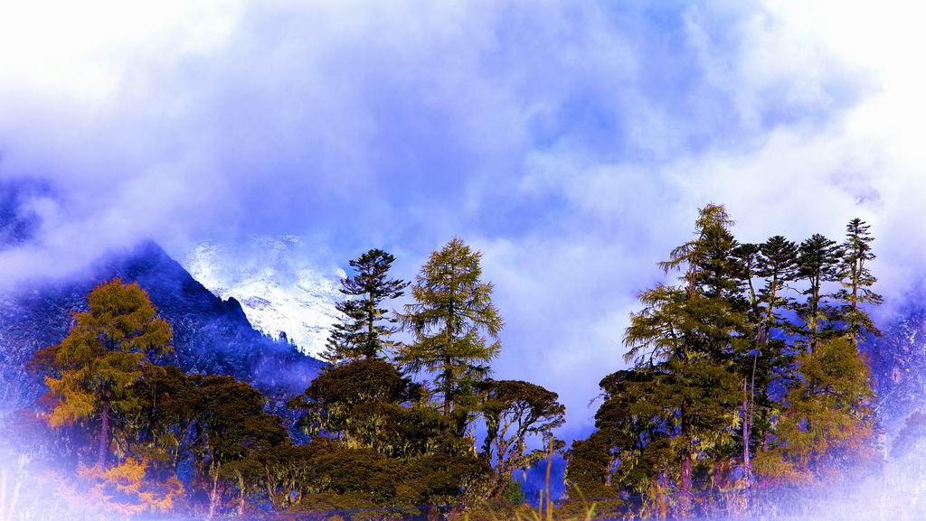 基丑山小景 摄影 色胆犹存