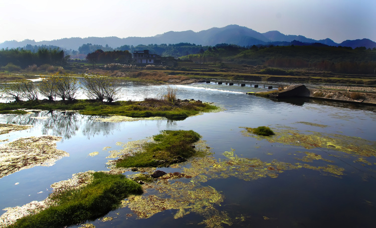 路边的风景 摄影 偷眼看世界