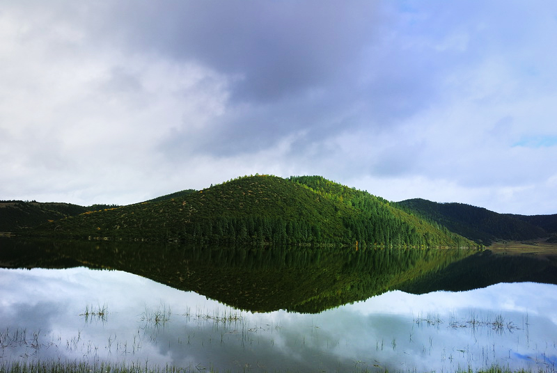 普达措属都湖 摄影 雨中风铃