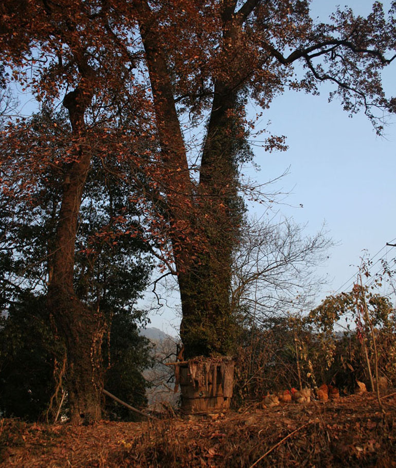 村头，古枫 摄影 地平线上