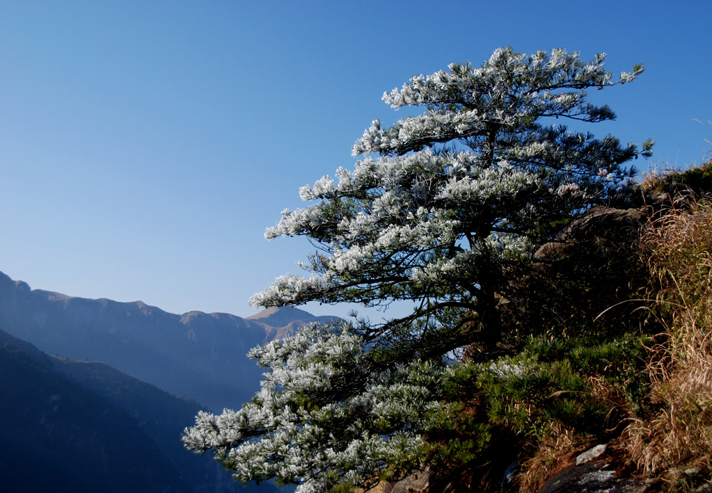 武功山冬景（6） 摄影 农夫20