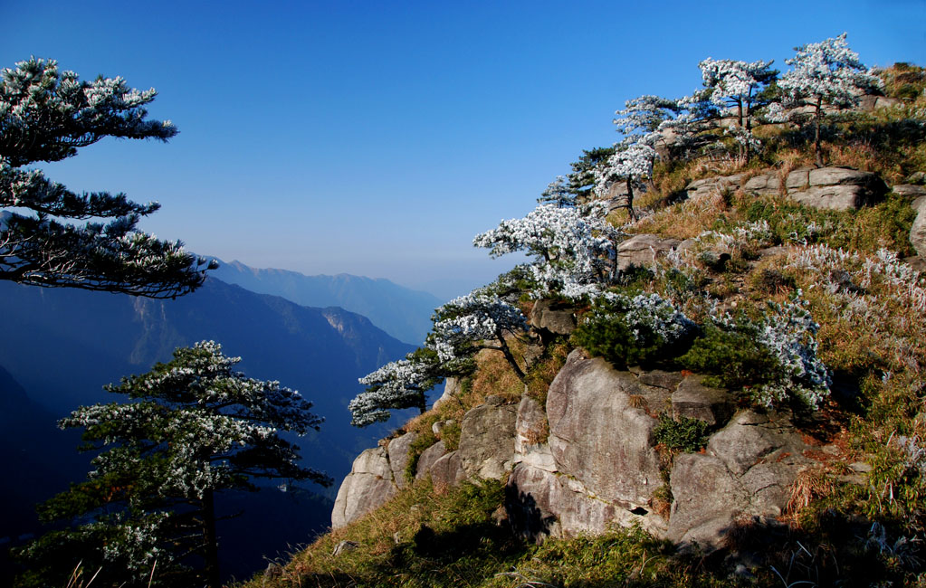 武功山冬景（5） 摄影 农夫20