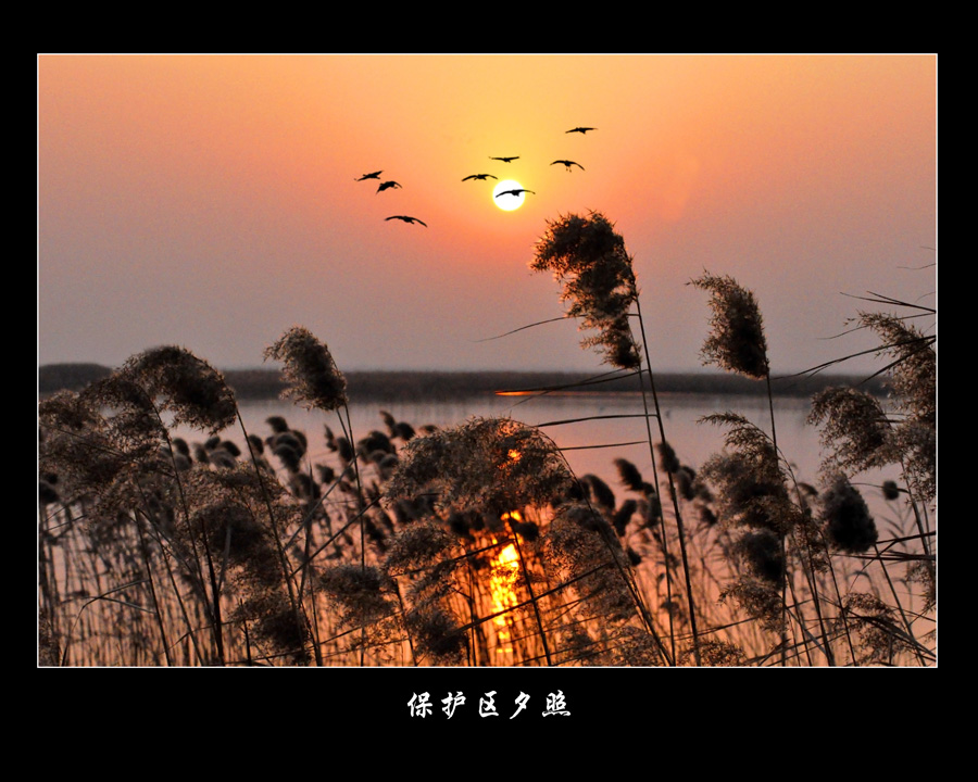 保护区夕照 摄影 wyl510718