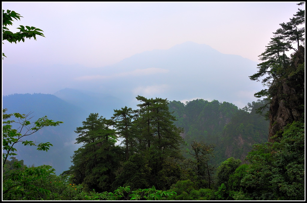 井冈山杜鹃山（原笔架山）6 摄影 地球邨