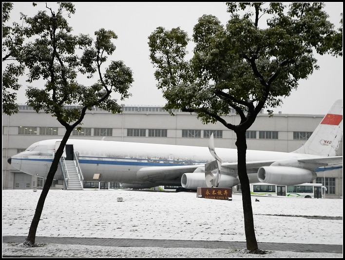 寒冬傲雪永不放弃 摄影 蓝色海1973