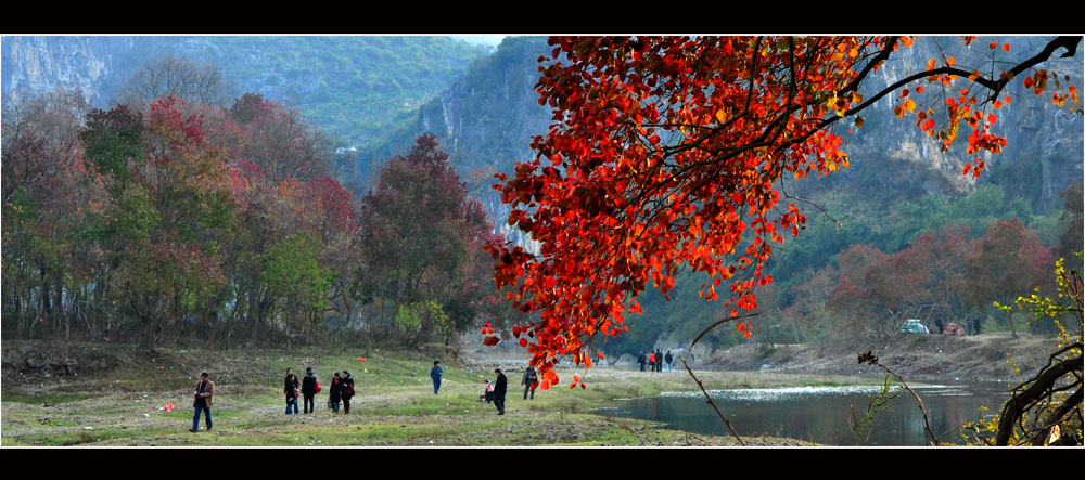 红叶迎春 摄影 江岸孤峰