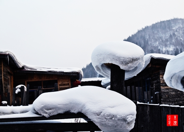 庭院积雪 摄影 大庆爱华