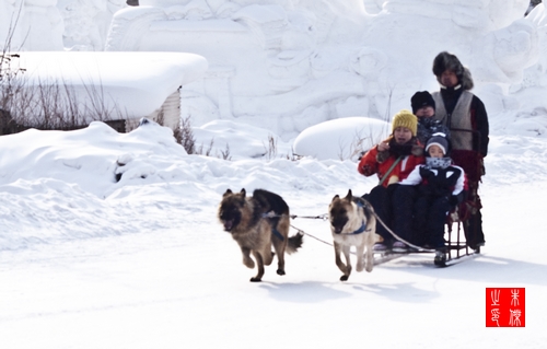 雪乡风情 摄影 大庆爱华