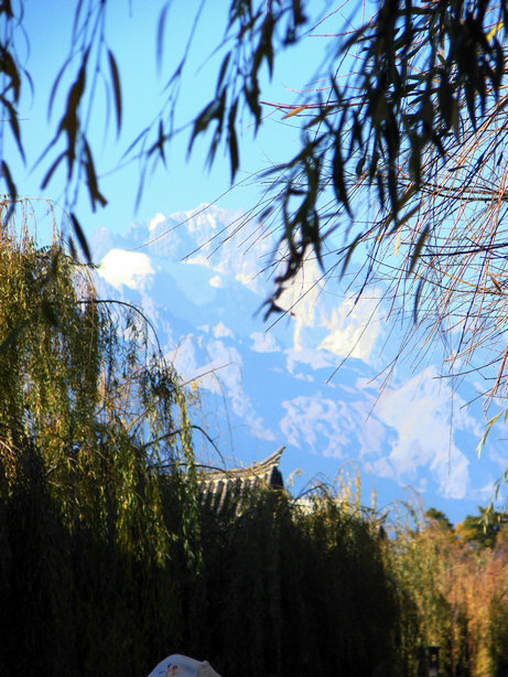 远眺雪山 摄影 兵仔