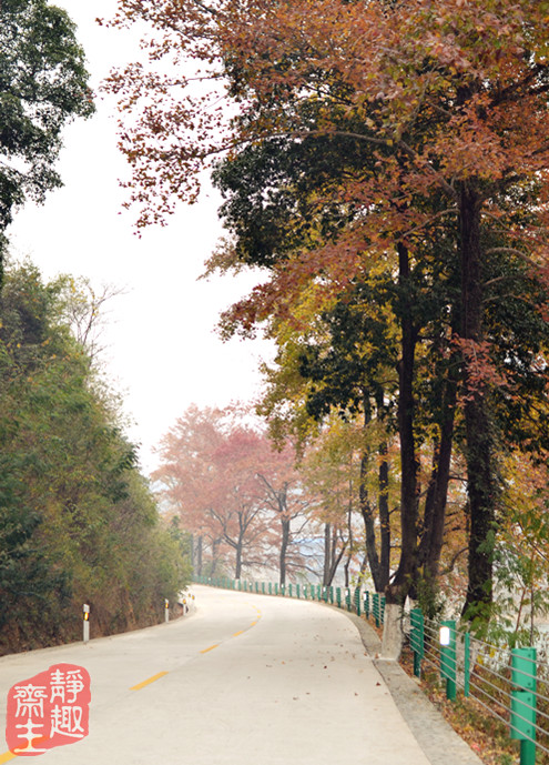 龙胜一条路 摄影 静趣斋