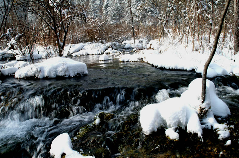 瑞雪兆丰年 摄影 吴聪全