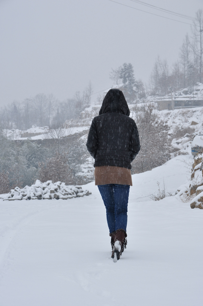 踏雪 摄影 云海松涛